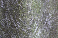 Stitchins Hill fibreglass roof work